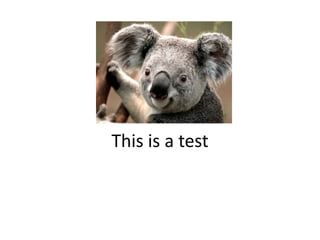 This is a test
 