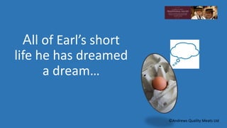 All of Earl’s short 
life he has dreamed 
a dream… 
©Andrews Quality Meats Ltd 
 