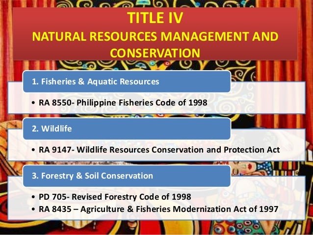 Building code philippines image