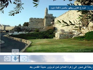 رحلة في صور الى زهرة المدائن لمن لم يزور مدينة القدس بعد شوارع القدس ويظهر بالصورة قلعة داوود  