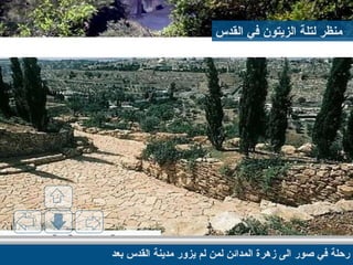 رحلة في صور الى زهرة المدائن لمن لم يزور مدينة القدس بعد منظر لتلة الزيتون في القدس 
