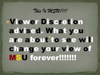 This is msu!!!!