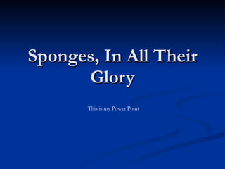 Sponges, In All Their Glory This is my Power Point 