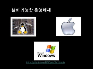 설치 가능한 운영체제

https://github.com/MSOpenTech/redis

 