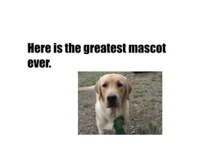 Here is the greatest mascot
ever.
 