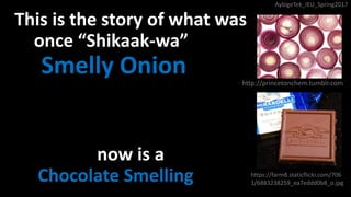 This is the story of what was
once “Shikaak-wa” AKA
“Smelly Onion” city
now is a
“Chocolate Smelling” city
http://princetonchem.tumblr.com
https://farm8.staticflickr.com/706
1/6883238259_ea7eddd0b8_o.jpg
AybigeTek_IEU_Spring2017
 