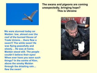 We were stunned today on
Maidan: low, almost over the
roof of the burned House of
Trade Unions… there flew a
swan!!! The w...