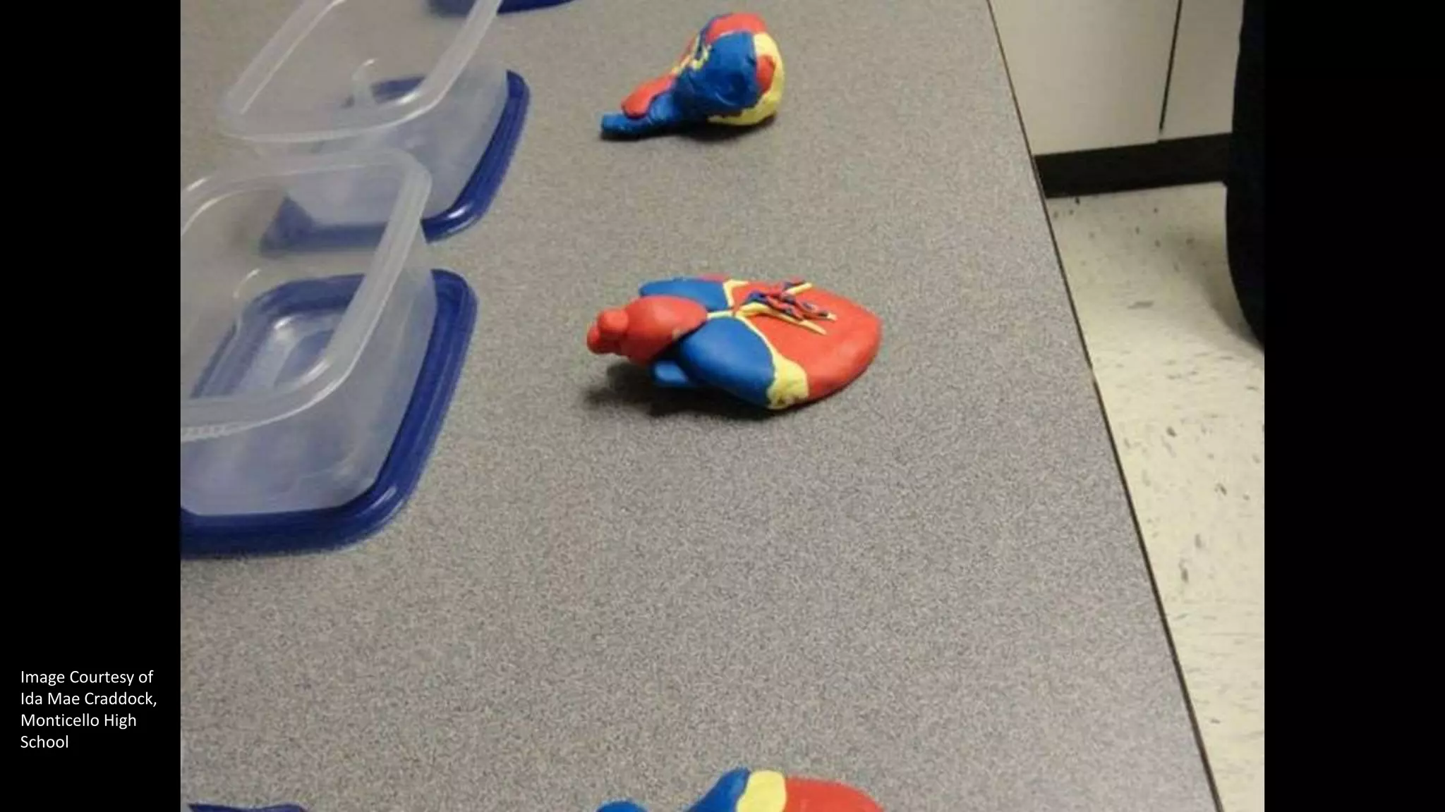 Image Courtesy of
Ida Mae Craddock,
Monticello High
School
 