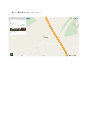 This is where I took my equine photos.