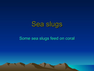 Sea slugs Some sea slugs feed on coral 