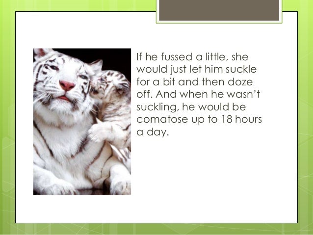 putting your to sleep this story will put you to sleep putting your to sleep this story will put you to sleep
