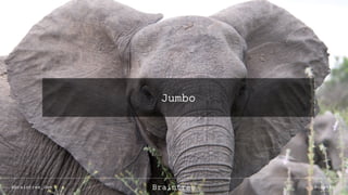 Jumbo
@braintree_dev @cbettaBraintree
 