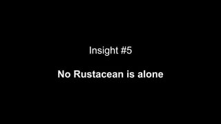 Insight #5
No Rustacean is alone
 