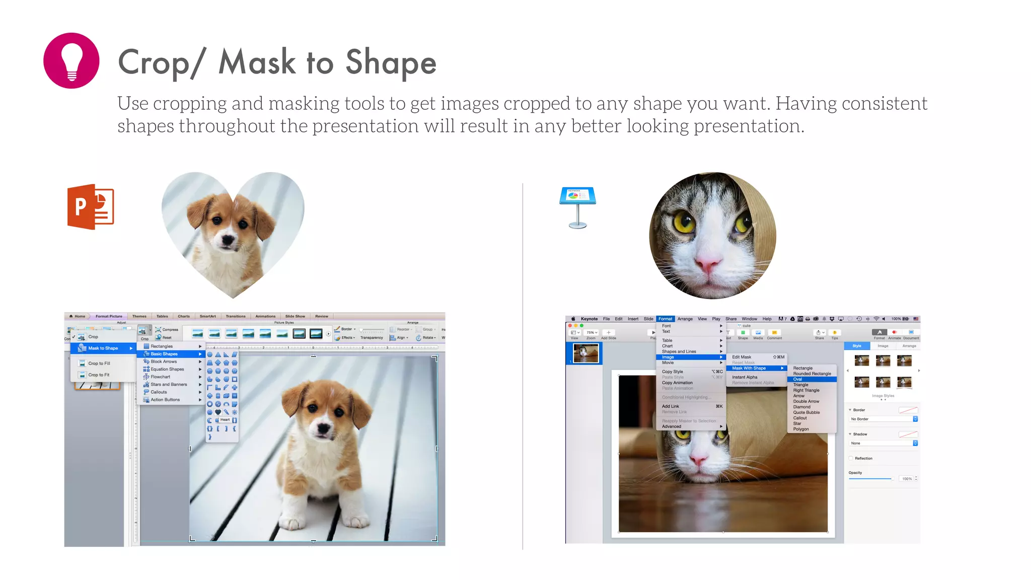 Crop/ Mask to Shape
Use cropping and masking tools to get images cropped to any shape you want. Having consistent
shapes throughout the presentation will result in any better looking presentation.
 