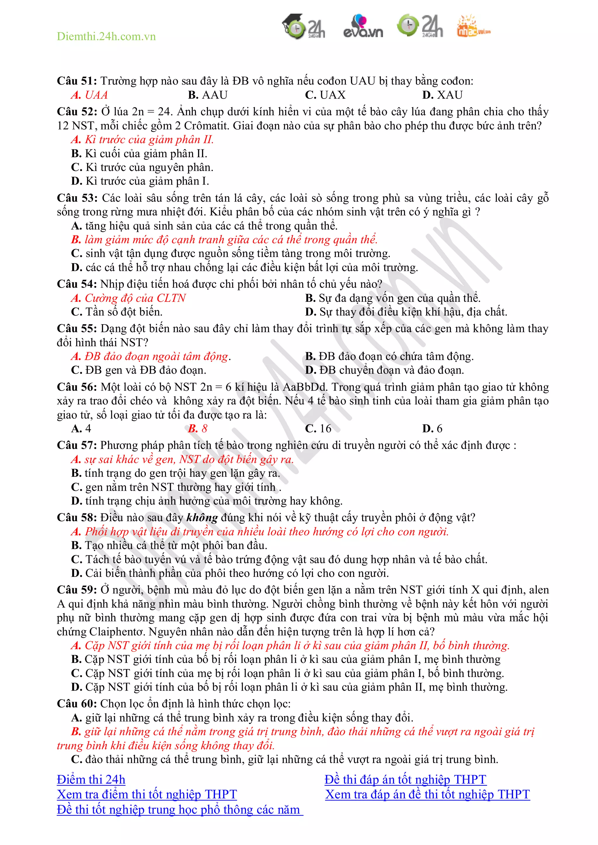 Diemthi.24h.com.vn
Điểm thi 24h Đề thi đáp án tốt nghiệp THPT
Xem tra điểm thi tốt nghiệp THPT Xem tra đáp án đề thi tốt nghiệp THPT
Đề thi tốt nghiệp trung học phổ thông các năm
Câu 51: Trường hợp nào sau đây là ĐB vô nghĩa nếu cođon UAU bị thay bằng cođon:
A. UAA B. AAU C. UAX D. XAU
Câu 52: Ở lúa 2n = 24. Ảnh chụp dưới kính hiển vi của một tế bào cây lúa đang phân chia cho thấy
12 NST, mỗi chiếc gồm 2 Crômatit. Giai đoạn nào của sự phân bào cho phép thu được bức ảnh trên?
A. Kì trước của giảm phân II.
B. Kì cuối của giảm phân II.
C. Kì trước của nguyên phân.
D. Kì trước của giảm phân I.
Câu 53: Các loài sâu sống trên tán lá cây, các loài sò sống trong phù sa vùng triều, các loài cây gỗ
sống trong rừng mưa nhiệt đới. Kiểu phân bố của các nhóm sinh vật trên có ý nghĩa gì ?
A. tăng hiệu quả sinh sản của các cá thể trong quần thể.
B. làm giảm mức độ cạnh tranh giữa các cá thể trong quần thể.
C. sinh vật tận dụng được nguồn sống tiềm tàng trong môi trường.
D. các cá thể hỗ trợ nhau chống lại các điều kiện bất lợi của môi trường.
Câu 54: Nhịp điệu tiến hoá được chi phối bởi nhân tố chủ yếu nào?
A. Cường độ của CLTN B. Sự đa dạng vốn gen của quần thể.
C. Tần số đột biến. D. Sự thay đổi điều kiện khí hậu, địa chất.
Câu 55: Dạng đột biến nào sau đây chỉ làm thay đổi trình tự sắp xếp của các gen mà không làm thay
đổi hình thái NST?
A. ĐB đảo đoạn ngoài tâm động. B. ĐB đảo đoạn có chứa tâm động.
C. ĐB gen và ĐB đảo đoạn. D. ĐB chuyển đoạn và đảo đoạn.
Câu 56: Một loài có bộ NST 2n = 6 kí hiệu là AaBbDd. Trong quá trình giảm phân tạo giao tử không
xảy ra trao đổi chéo và không xảy ra đột biến. Nếu 4 tế bào sinh tinh của loài tham gia giảm phân tạo
giao tử, số loại giao tử tối đa được tạo ra là:
A. 4 B. 8 C. 16 D. 6
Câu 57: Phương pháp phân tích tế bào trong nghiên cứu di truyền người có thể xác định được :
A. sự sai khác về gen, NST do đột biến gây ra.
B. tính trạng do gen trội hay gen lặn gây ra.
C. gen nằm trên NST thường hay giới tính .
D. tính trạng chịu ảnh hưởng của môi trường hay không.
Câu 58: Điều nào sau đây không đúng khi nói về kỹ thuật cấy truyền phôi ở động vật?
A. Phối hợp vật liệu di truyền của nhiều loài theo hướng có lợi cho con người.
B. Tạo nhiều cá thể từ một phôi ban đầu.
C. Tách tế bào tuyến vú và tế bào trứng động vật sau đó dung hợp nhân và tế bào chất.
D. Cải biến thành phần của phôi theo hướng có lợi cho con người.
Câu 59: Ở người, bệnh mù màu đỏ lục do đột biến gen lặn a nằm trên NST giới tính X qui định, alen
A qui định khả năng nhìn màu bình thường. Người chồng bình thường về bệnh này kết hôn với người
phụ nữ bình thường mang cặp gen dị hợp sinh được đứa con trai vừa bị bệnh mù màu vừa mắc hội
chứng Claiphentơ. Nguyên nhân nào dẫn đến hiện tượng trên là hợp lí hơn cả?
A. Cặp NST giới tính của mẹ bị rối loạn phân li ở kì sau của giảm phân II, bố bình thường.
B. Cặp NST giới tính của bố bị rối loạn phân li ở kì sau của giảm phân I, mẹ bình thường
C. Cặp NST giới tính của mẹ bị rối loạn phân li ở kì sau của giảm phân I, bố bình thường.
D. Cặp NST giới tính của bố bị rối loạn phân li ở kì sau của giảm phân II, mẹ bình thường.
Câu 60: Chọn lọc ổn định là hình thức chọn lọc:
A. giữ lại những cá thể trung bình xảy ra trong điều kiện sống thay đổi.
B. giữ lại những cá thể nằm trong giá trị trung bình, đào thải những cá thể vượt ra ngoài giá trị
trung bình khi điều kiện sống không thay đổi.
C. đào thải những cá thể trung bình, giữ lại những cá thể vượt ra ngoài giá trị trung bình.
 