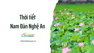 Thời tiết
Nam Đàn Nghệ An
thoitiethomnay.vn
 