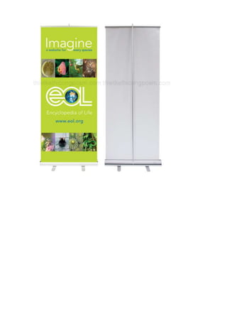 Thiết kế banner cuốn