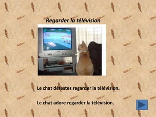 Regarder la télévision
Le chat détestes regarder la télévision.
Le chat adore regarder la télévision.
 