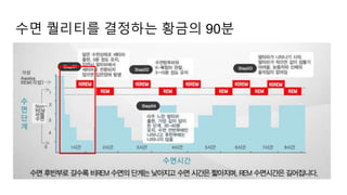 수면 퀄리티를 결정하는 황금의 90분
 