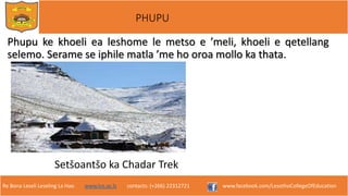Re Bona Leseli Leseling La Hao. www.lce.ac.ls contacts: (+266) 22312721 www.facebook.com/LesothoCollegeOfEducation
PHUPU
Phupu ke khoeli ea leshome le metso e ’meli, khoeli e qetellang
selemo. Serame se iphile matla ’me ho oroa mollo ka thata.
Setšoantšo ka Chadar Trek
 