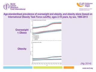 Ethnic differences, obesity and cancer, stages of the obesity epidemic ...