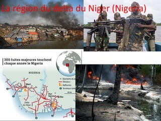 La région du delta du Niger (Nigeria)
 