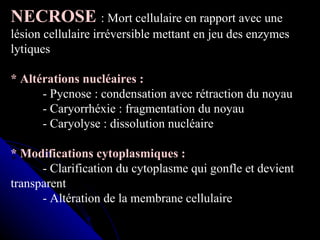 NECROSE : Mort cellulaire en rapport avec une
lésion cellulaire irréversible mettant en jeu des enzymes
lytiques

* Altérations nucléaires :
      - Pycnose : condensation avec rétraction du noyau
      - Caryorrhéxie : fragmentation du noyau
      - Caryolyse : dissolution nucléaire

* Modifications cytoplasmiques :
      - Clarification du cytoplasme qui gonfle et devient
transparent
      - Altération de la membrane cellulaire
 