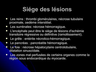 Siége des lésions
    Les reins : thrombi glomérulaires, nécrose tubulaire
    proximale, oedème interstitiel.
    Les surrénales: nécrose hémorragique.
    L'encéphale peut être le siège de lésions d'ischémie
    transitoire régressive ou définitive (ramollissement).
    Le grêle : entérite nécrotico-hémorragique.
    Le pancréas : pancréatite hémorragique.
    Le foie : nécrose hépatocytaire centrolobulaire,
    dilatation sinusoïdale.
    Les zones mal perfusées de certains organes comme la
    région sous endocardique du myocarde.
 
