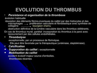 EVOLUTION DU THROMBUS

    Persistance et organisation de la thrombose
évolution habituelle
résorption des éléments fibrino-cruoriques du caillot par des histiocytes et des
   macrophages           prolifération vasculaire et fibroblastique avec synthèse de
   collagène                bourgeon charnu
   obstruction définitive de la lumière vasculaire dans les thrombus oblitérants.
En cas de thrombus mural, pariétal :incorporation du thrombus à la paroi avec
   recouvrement par des cellules endothéliales.
   Thrombolyse
    exceptionnelle; par un processus de fibrinolyse.
     Elle peut être favorisée par la thérapeutique (urokinase, steptokinase).
   Calcification
   Suppuration du caillot : exceptionnelle
   Mobilisation du caillot
    accident évolutif majeur source d'embolies.
     thromboses récentes
 