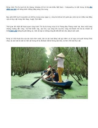 Rừng tràm Trà Sư tại tỉnh An Giang, khoảng 10 km từ cửa khẩu Việt Nam - Campuchia, là một trong những địa
điểm du lịch nổi tiếng nhất ở đồng bằng sông Cửu Long.




Bao gồm 845 ha ở trung tâm và 643 ha trong vùng ngoại vi, rừng là một dự trữ quốc gia và là nơi có nhiều loại động
vật và thực vật trong Văn Giao, huyện Tịnh Biên.




Thời gian tốt nhất để tham quan rừng tràm Trà Sư là trong mùa lũ từ Tháng Bảy-Tháng mười hai, theo một trong
những hướng dẫn rừng. Tại thời điểm này, các khu vực rộng lớn của khu rừng trở thành hồ mà du khách có
thể khám phá bằng thuyền động cơ, một số cặp vợ chồng cũng đã đến để làm cho album ảnh cưới.




Rừng có 106 thuộc địa của các loài chim nước, dơi và các loài động vật quý hiếm và có nguy cơ tuyệt chủng khác
nhau và các loài bò sát và một vài trong số họ đã được liệt kê trong sách đỏ, và hơn 140 loài thực vật.
 