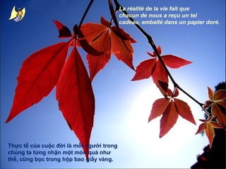 La réalité de la vie fait que
chacun de nous a reçu un tel
cadeau, emballé dans un papier doré.

Thực tế của cuộc đời là mỗi người trong
chúng ta từng nhận một món quà như
thế, cũng bọc trong hộp bao giấy vàng.

 