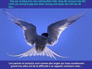 Cha mẹ và bằng hữu như những thiên thần nâng đỡ chúng ta khi đôi
cánh của chúng ta gặp khó khăn, không nhớ được làm thế nào để
bay...

Les parents et amis(e)s sont comme des anges qui nous soutiennent
quand nos ailes ont de la difficulté à se rappeler comment voler ...

 