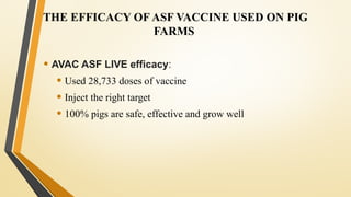 Pigprogress Asf African Swine Fever (ASF) Situation and Vaccine Development in Vietnam ...