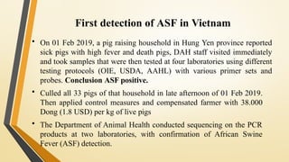 Pigprogress Asf African Swine Fever (ASF) Situation and Vaccine Development in Vietnam ...