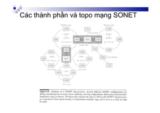 Các thành phần và topo mạng SONET
 
