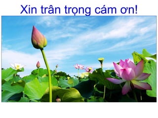 Xin trân trọng cám ơn!
 