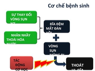 Cơ chế bệnh sinh
SỰ THAY ĐỔI
VÒNG SỤN
XƠ
NHÂN NHẦY
THOÁI HÓA
NƯỚC
ĐĨA ĐỆM
MẤT ĐÀN
HỒI
VÒNG
SỤN
MỎNG ĐI
THOÁT
TÁC
ĐỘNG
CƠ HỌC
 