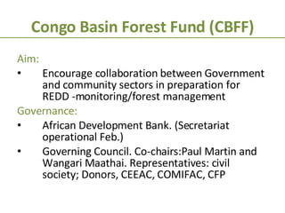 Congo Basin Forest Fund (CBFF) Aim:  Encourage collaboration between Government and community sectors in preparation for REDD -monitoring/forest management Governance: African Development Bank. (Secretariat operational Feb.) Governing Council. Co-chairs:Paul Martin and Wangari Maathai. Representatives: civil society; Donors, CEEAC, COMIFAC, CFP 
