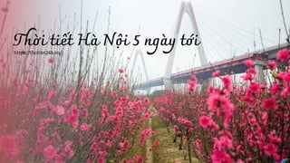 Thời tiết Hà Nội 5 ngày tới
https://thoitiet24h.vn/
 