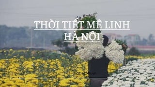 THỜI TIẾT MÊ LINH
HÀ NỘI
thoitiet24h.vn
 