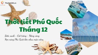 Biển xanh - Cát trắng - Nắng vàng
Hẹn nàng Phú Quốc bên nhau mặn nồng.
Thoitiet24h.vn
Thời tiết Phú Quốc
Tháng 12
 