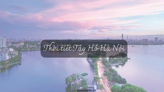 Thời tiết Tây Hồ Hà Nội
thoitiet24h.vn
 