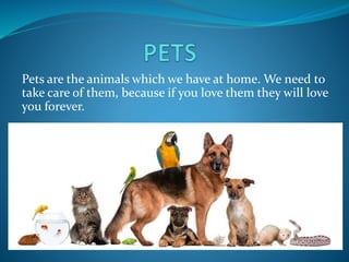 Pets are the animals which we have at home. We need to
take care of them, because if you love them they will love
you forever.
 