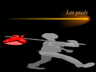 Les pieds 