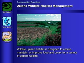 Conservation Practices

Upland Wildlife Habitat Management
Soil Erosion

Water Quality

Wildlife

Wildlife upland habitat is designed to create,
maintain, or improve food and cover for a variety
of upland wildlife.

 