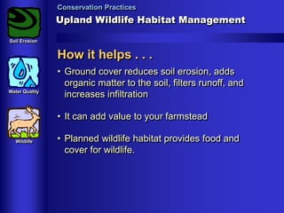 Conservation Practices

Upland Wildlife Habitat Management
Soil Erosion

How it helps . . .
Water Quality

• Ground cover reduces soil erosion, adds
organic matter to the soil, filters runoff, and
increases infiltration
• It can add value to your farmstead

Wildlife

• Planned wildlife habitat provides food and
cover for wildlife.

 