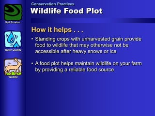 Conservation Practices

Wildlife Food Plot
Soil Erosion

How it helps . . .
Water Quality

• Standing crops with unharvested grain provide
food to wildlife that may otherwise not be
accessible after heavy snows or ice
• A food plot helps maintain wildlife on your farm
by providing a reliable food source

Wildlife

 