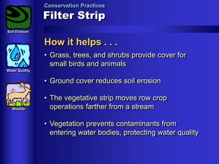 Conservation Practices

Filter Strip
Soil Erosion

How it helps . . .
• Grass, trees, and shrubs provide cover for
small birds and animals
Water Quality

• Ground cover reduces soil erosion

Wildlife

• The vegetative strip moves row crop
operations farther from a stream
• Vegetation prevents contaminants from
entering water bodies, protecting water quality

 