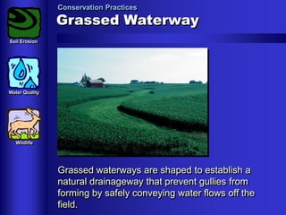 Conservation Practices

Grassed Waterway
Soil Erosion

Water Quality

Wildlife

Grassed waterways are shaped to establish a
natural drainageway that prevent gullies from
forming by safely conveying water flows off the
field.

 