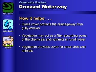Conservation Practices

Grassed Waterway
Soil Erosion

How it helps . . .
• Grass cover protects the drainageway from
gully erosion
Water Quality

• Vegetation may act as a filter absorbing some
of the chemicals and nutrients in runoff water
Wildlife

• Vegetation provides cover for small birds and
animals

 
